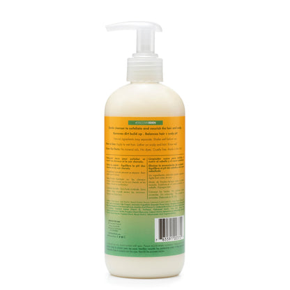 Limpiador para el cuero cabelludo con aceite de ricino y papaya de Eden BodyWorks, 354 ml, 12 onzas líquidas