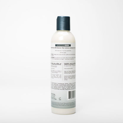 Eden BodyWorks Kokosnuss-Shea-Feuchtigkeitsshampoo, 237 ml, 8 oz